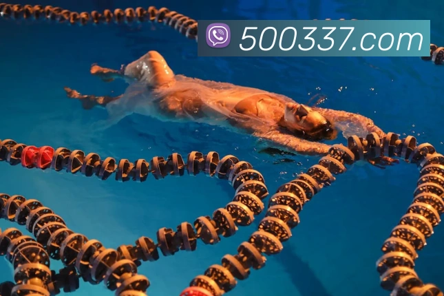 500彩票网官方APP 封面图